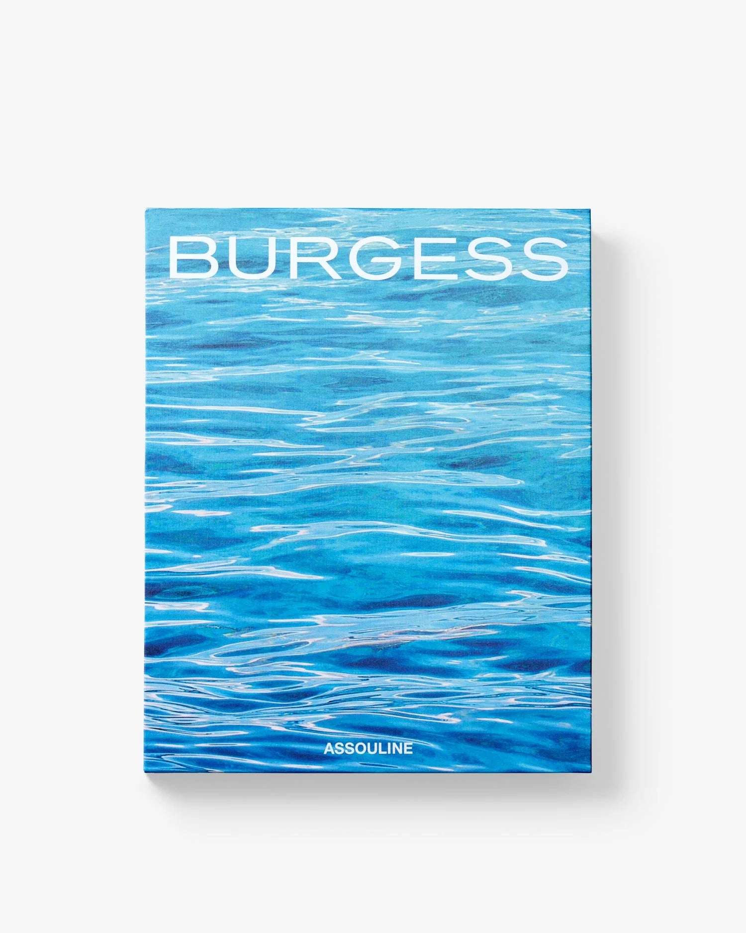 burgess book of birds