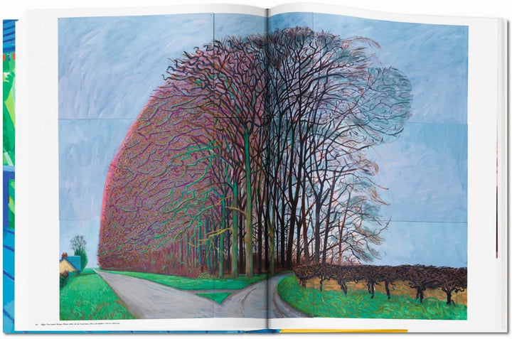 David Hockney. A Bigger Book Print Books Taschen   