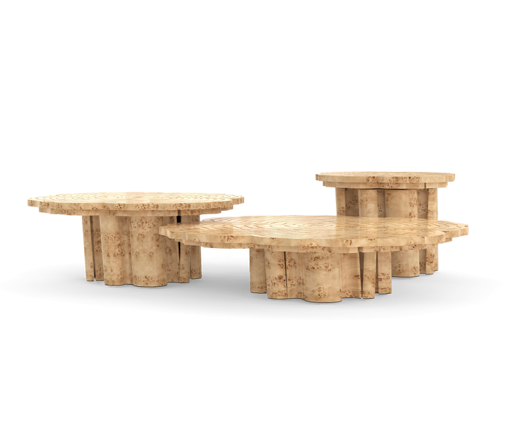 Fortuna Patina Center Table  Boca Do Lobo Poplar Root  