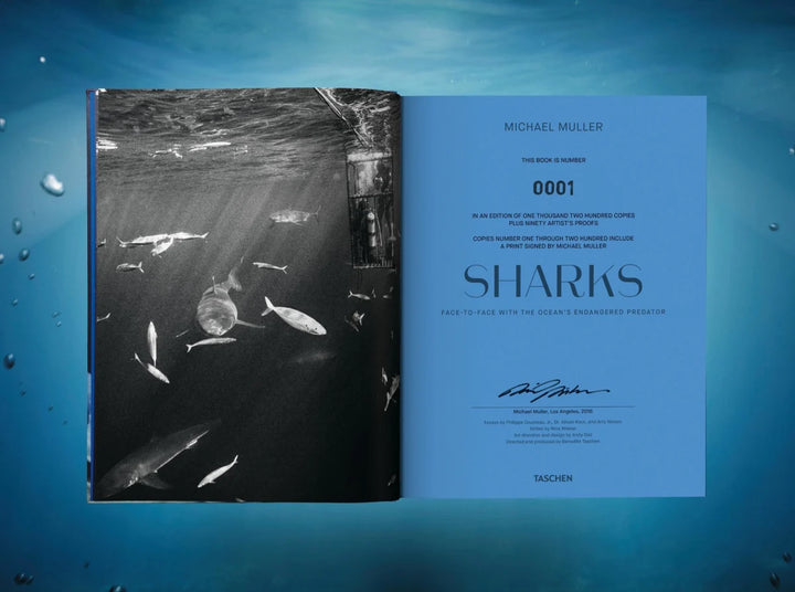 Michael Muller. Sharks Print Books Taschen   