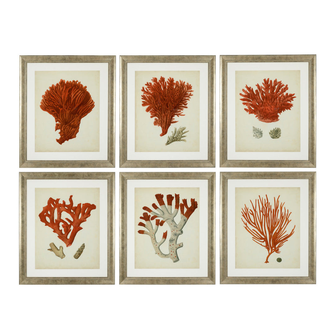 Prints Antique Red Corals Set Of 6 Accessories Eichholtz