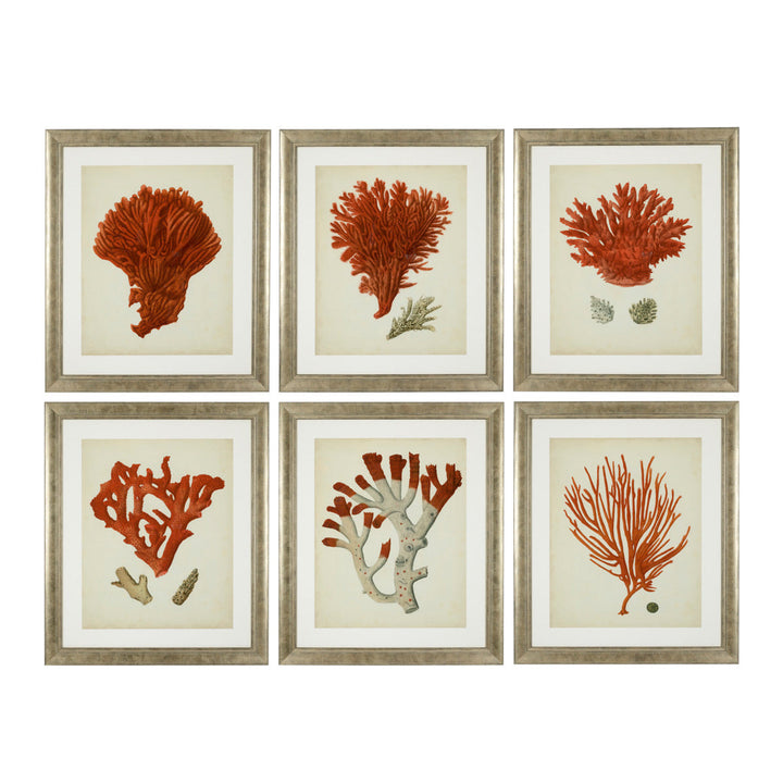 Prints Antique Red Corals Set Of 6 Accessories Eichholtz
