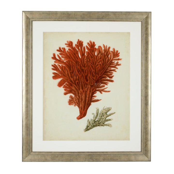 Prints Antique Red Corals Set Of 6 Accessories Eichholtz