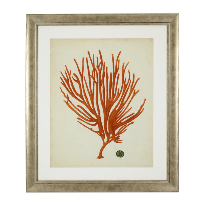 Prints Antique Red Corals Set Of 6 Accessories Eichholtz