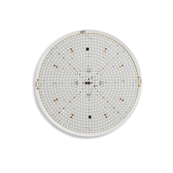 Clara Wall / Ceiling Light Lighting Fixtures FLOS