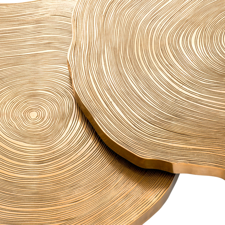 Coffee Table Thousand Oaks Set Of 2 Furniture Eichholtz