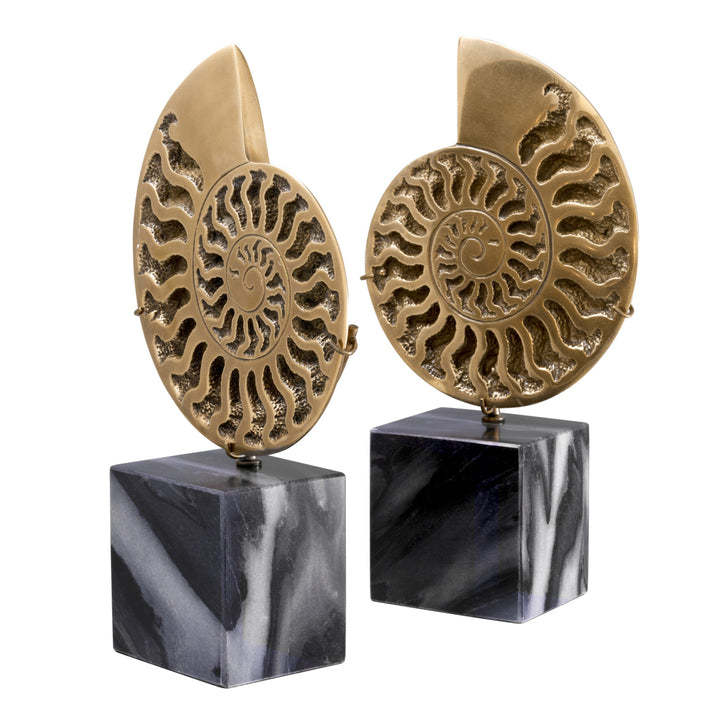Object Ammonite Set Of 2 Accessories Eichholtz