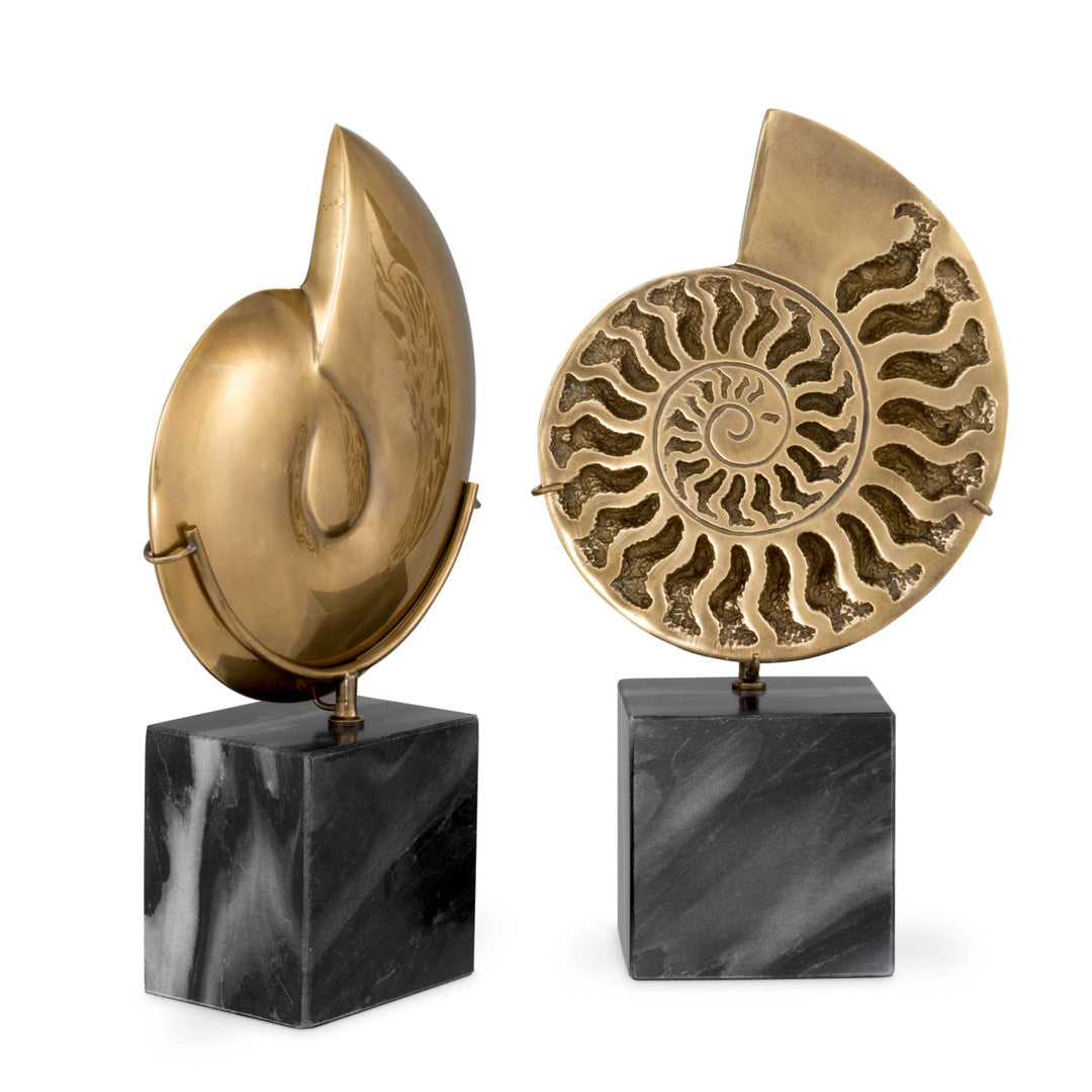 Object Ammonite Set Of 2 Accessories Eichholtz