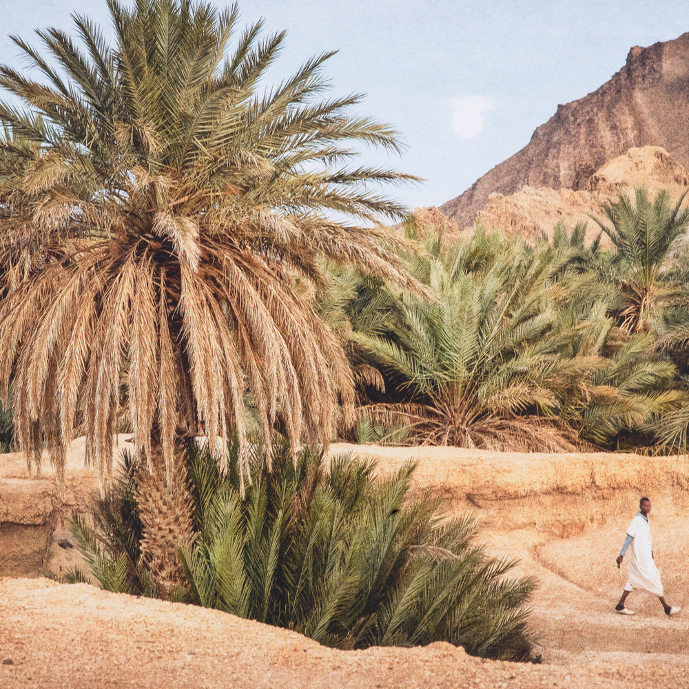 Print Marta Rossignol - Moroccan Oasis Accessories Eichholtz