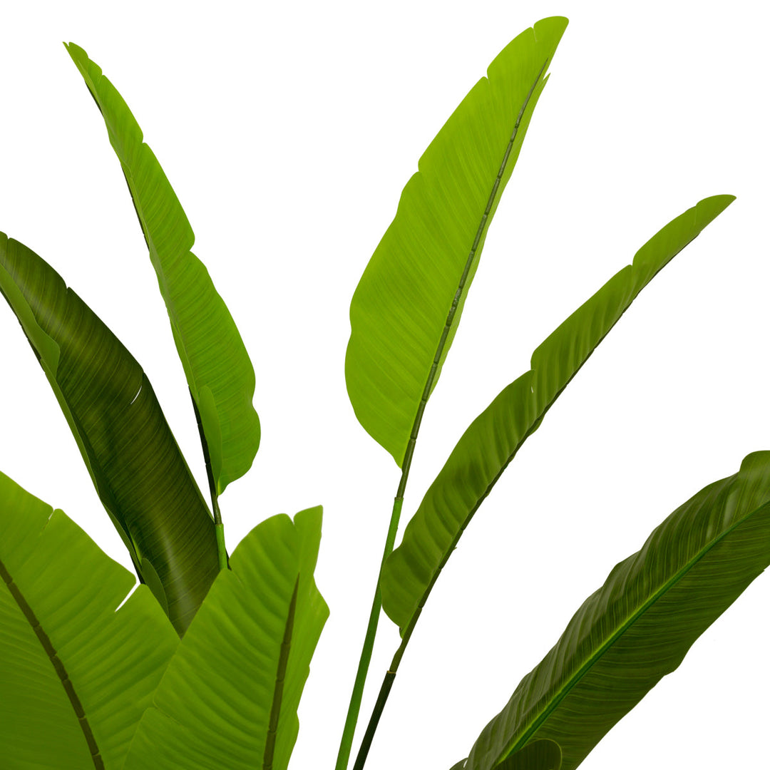 Artificial Plant Strelitzia M New Collection - January 2026 Eichholtz