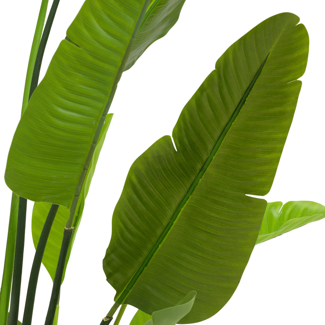 Artificial Plant Strelitzia M New Collection - January 2026 Eichholtz