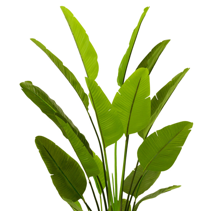 Artificial Plant Strelitzia L New Collection - January 2026 Eichholtz