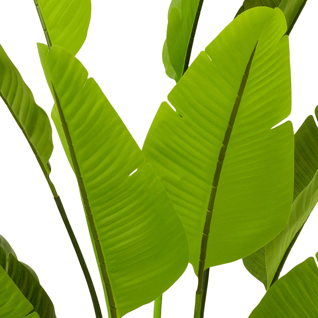 Artificial Plant Strelitzia L New Collection - January 2026 Eichholtz