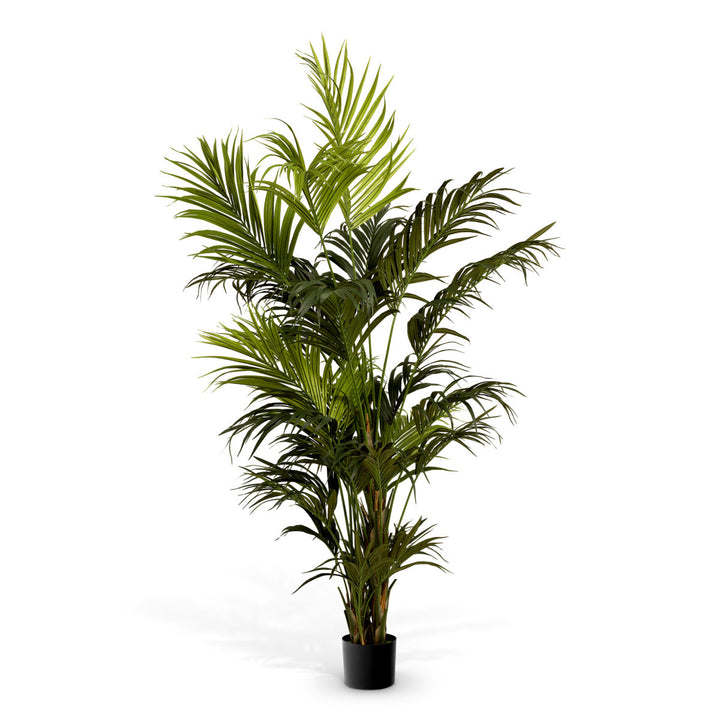 Artificial Plant Kentia Palm New Collection - January 2026 Eichholtz