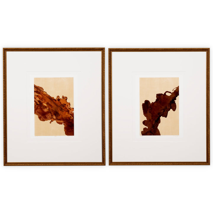 Print Mirage & Rêverie By Bruno Bijaksic Set Of 2 Accessories Eichholtz
