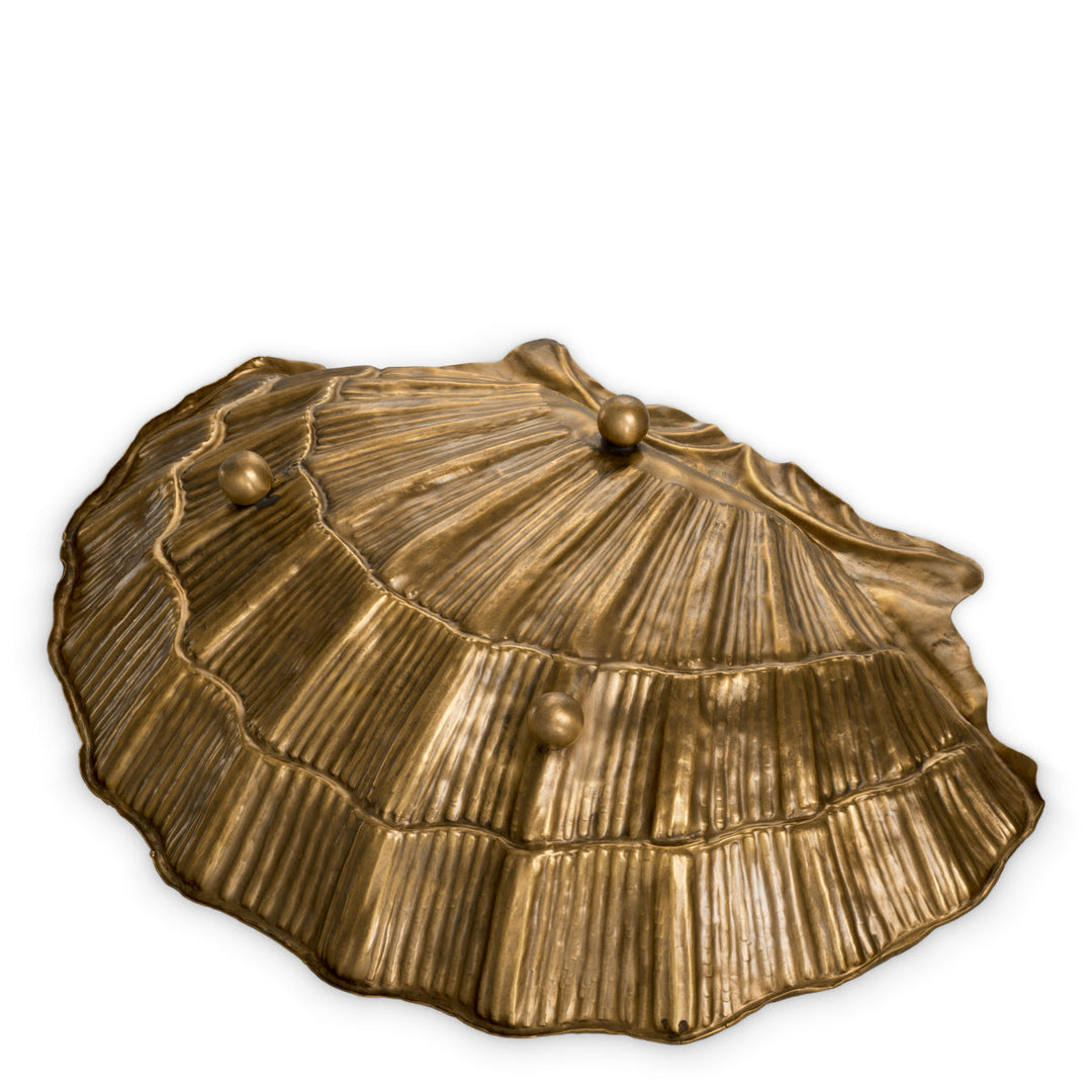 Bowl Seashell New Collection - January 2026 Eichholtz
