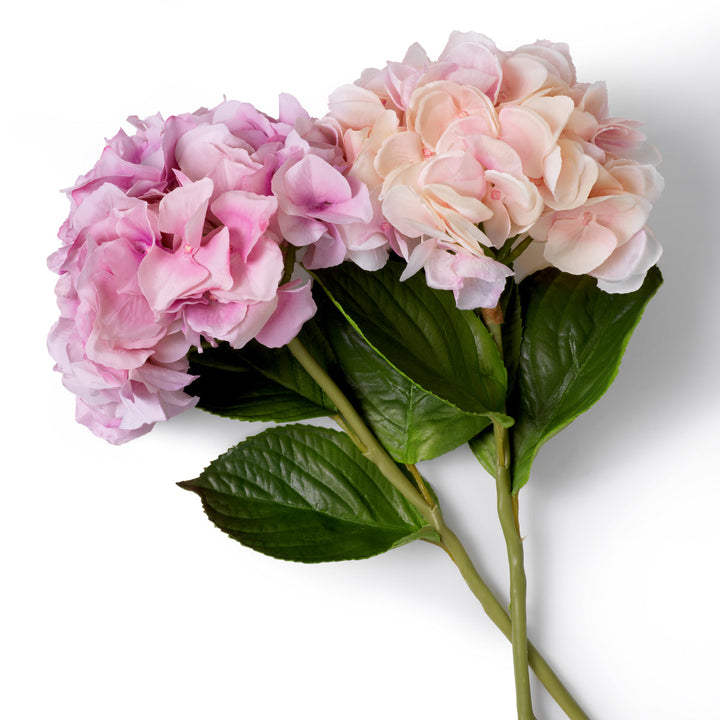 Bouquet Of Hydrangeas Real Touch 48 Pcs/2Varieties Accessories Eichholtz
