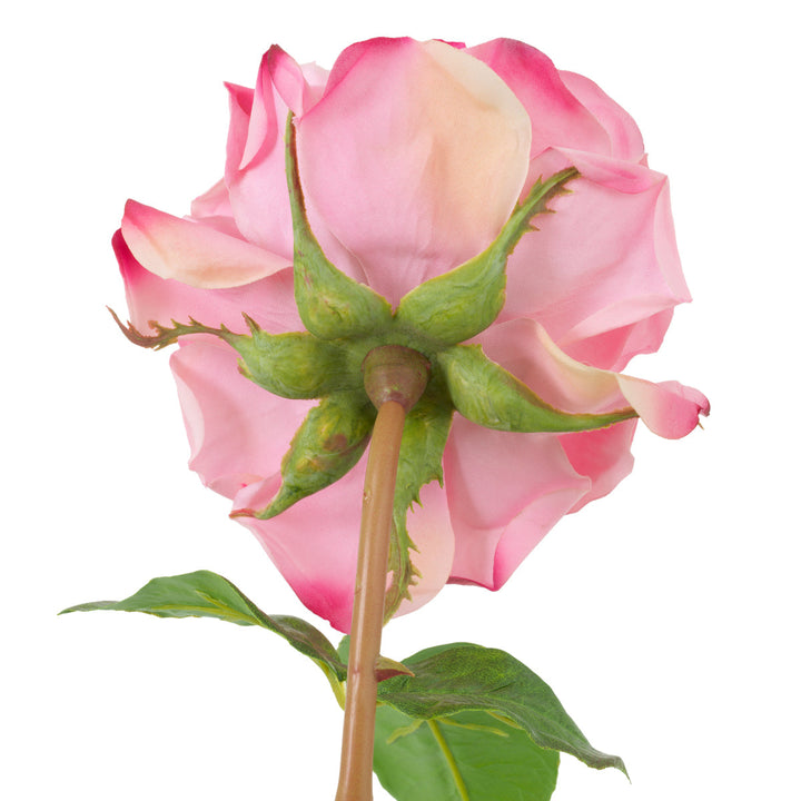 Bouquet Of Roses Real Touch 72 Pcs/3 Varieties Red &Amp; Pink Tones Accessories Eichholtz