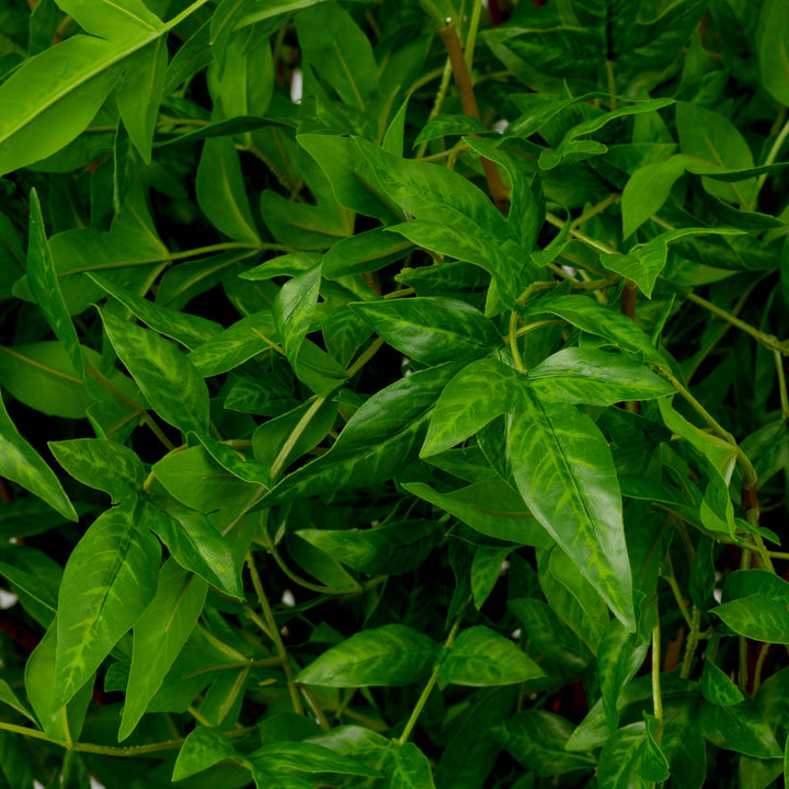 Bundle Of Tender Leaves 36 Pcs Accessories Eichholtz