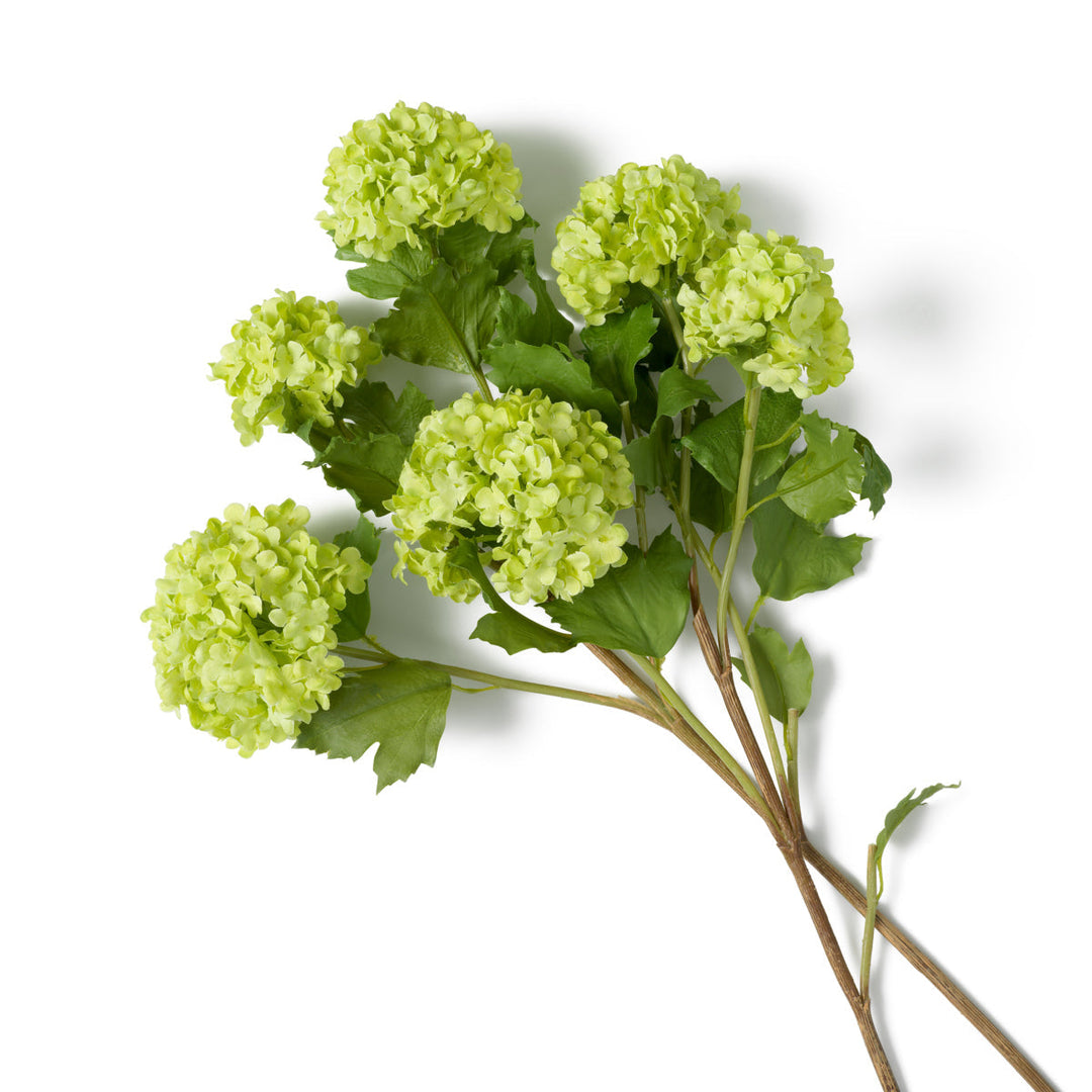 Bouquet Of Hydrangeas Snowball Real Touch 36 Pcs Green Tones Accessories Eichholtz
