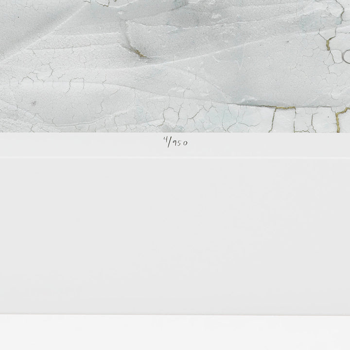 Print Rift Valley By Vanna Lam Set Of 2 Accessories Eichholtz