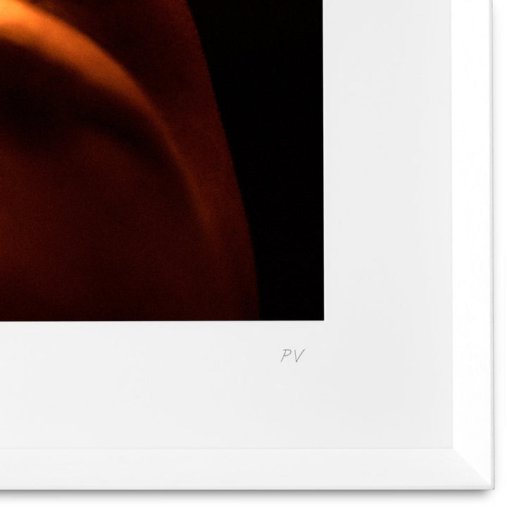Print Philippe Vogelenzang - Dawn Accessories Eichholtz