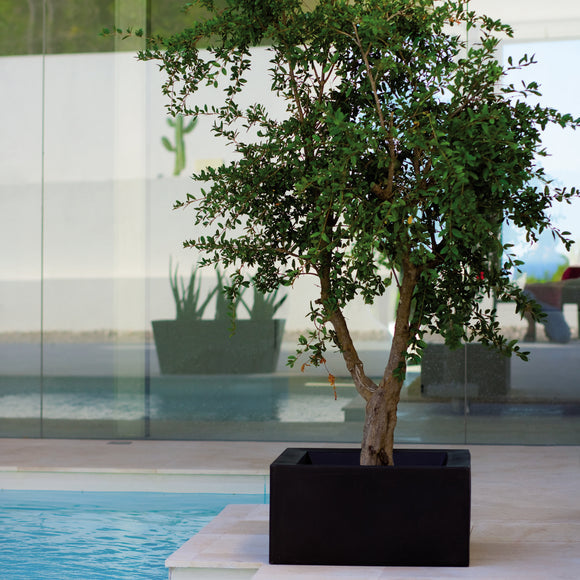 Land Planter Outdoor Vondom   