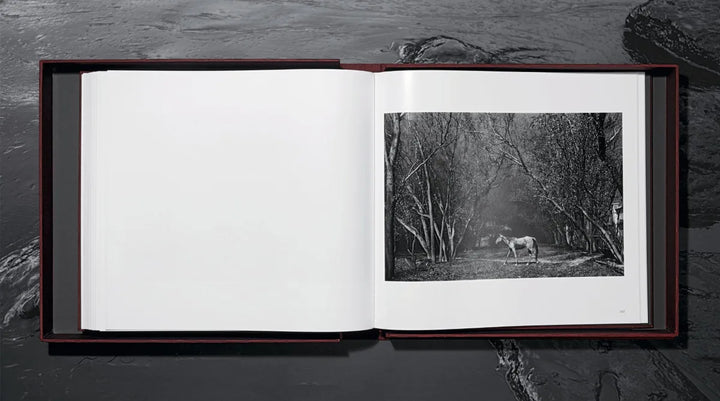 Sebastião Salgado. Kuwait. A Desert on Fire Print Books Taschen   