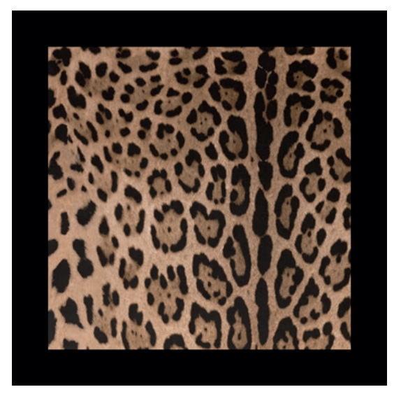 ALL OVER LEOPARD LINEN PLACEMAT AND NAPKIN SET  Dolce&Gabbana   
