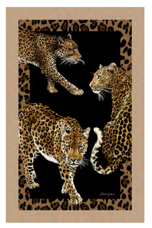 Terry Cotton Beach Towel  Dolce&Gabbana   