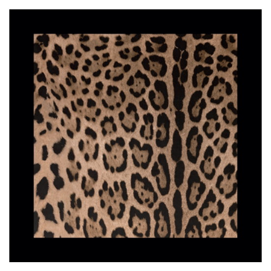 ALL OVER LEOPARD SET OF 2 LINEN NAPKINS  Dolce&Gabbana   