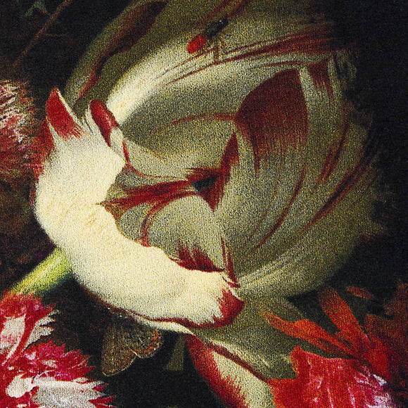 Eden Queen Square Rug Rugs Moooi