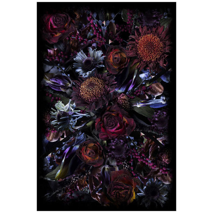 Fool's Paradise Rug Rugs Moooi Polyamide 6 ft 7.2 in x 9 ft 9.6 in