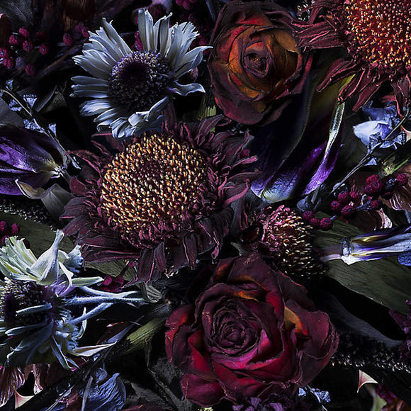 Fool's Paradise Rug Rugs Moooi