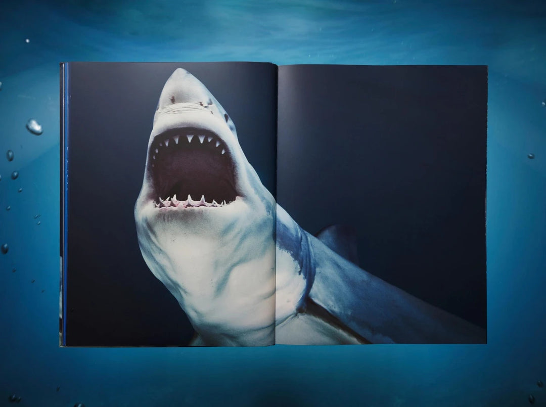 Michael Muller. Sharks Print Books Taschen   