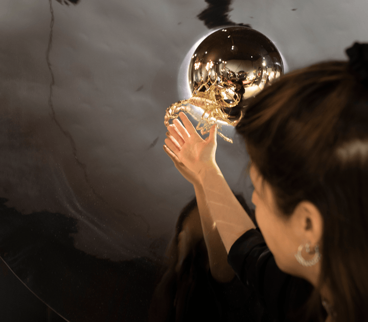 metamorphosis mirror Mirrors Boca Do Lobo