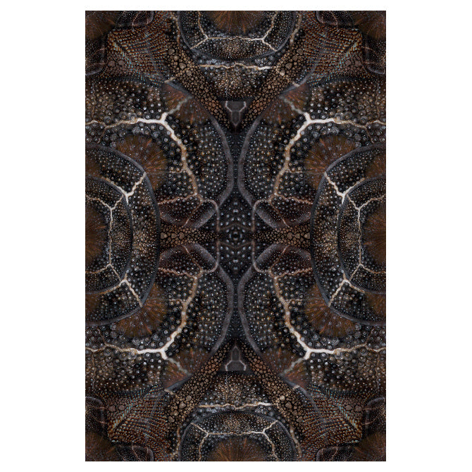 Blooming Seadragon Rug Rugs Moooi Polyamide 6 ft 6.7 in x 9 ft 10.1 in