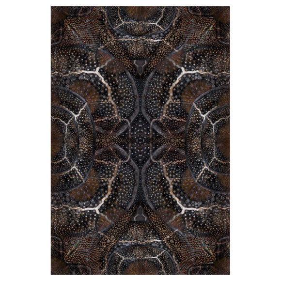 Blooming Seadragon Rug Rugs Moooi
