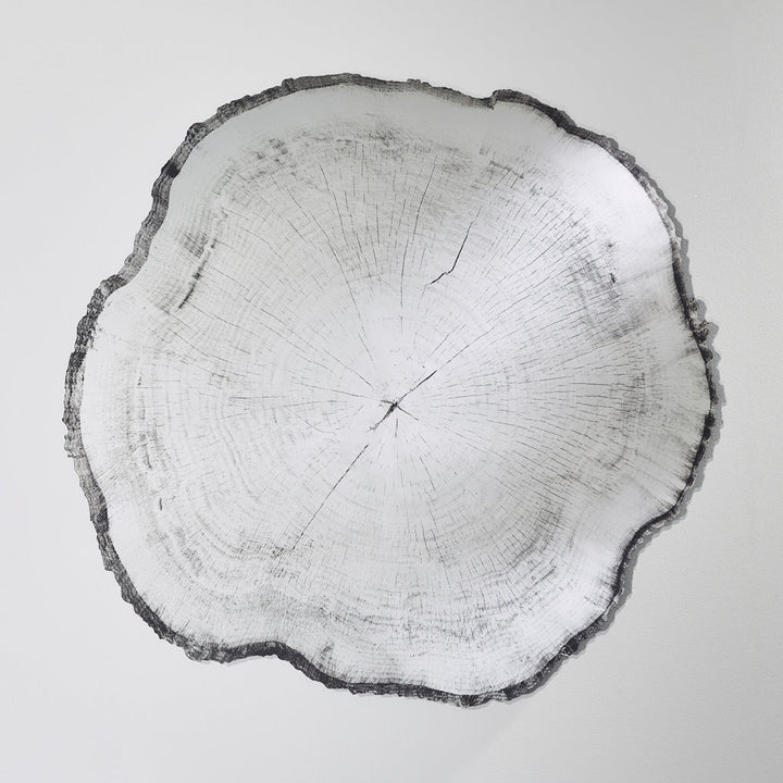 Arbo Dark L Mirror Mirrors Deknudt Mirrors   