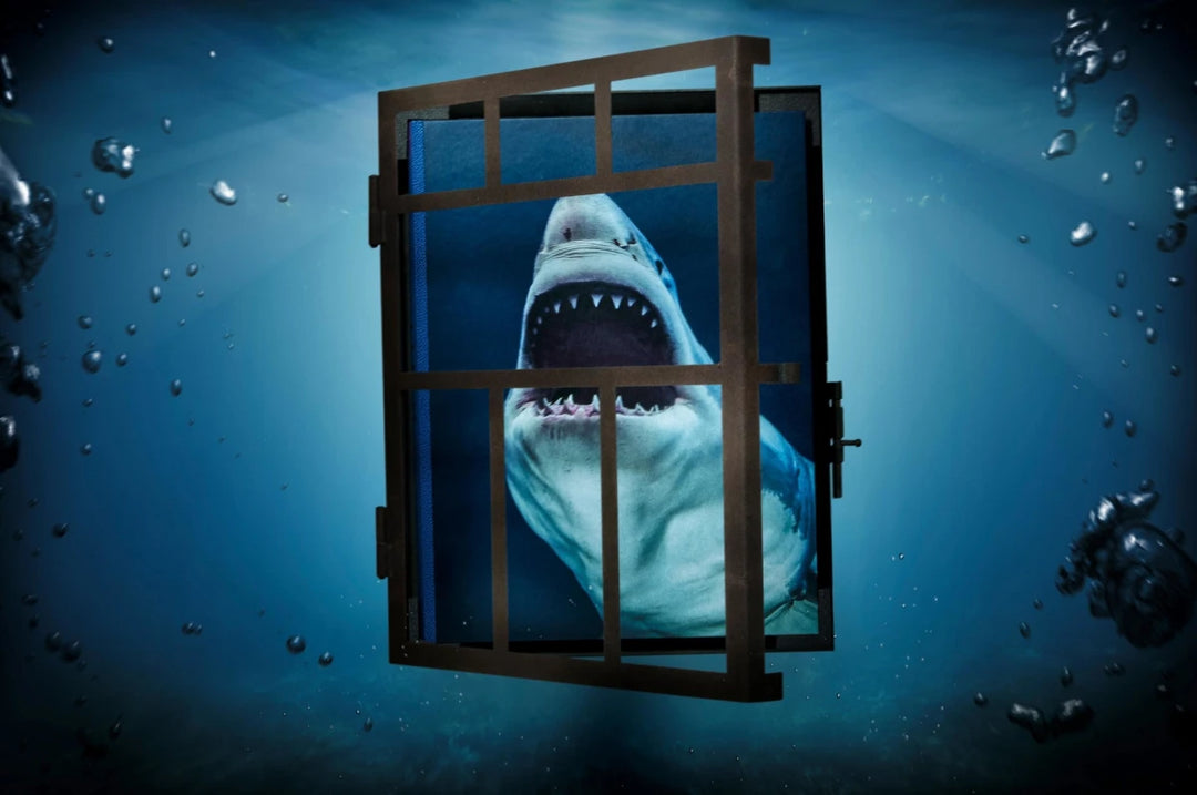 Michael Muller. Sharks – Italian Luxury Interiors