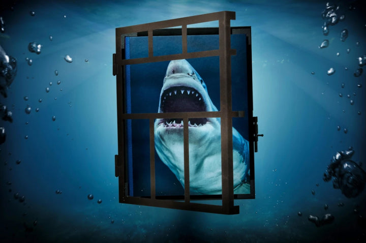 Michael Muller. Sharks Print Books Taschen   