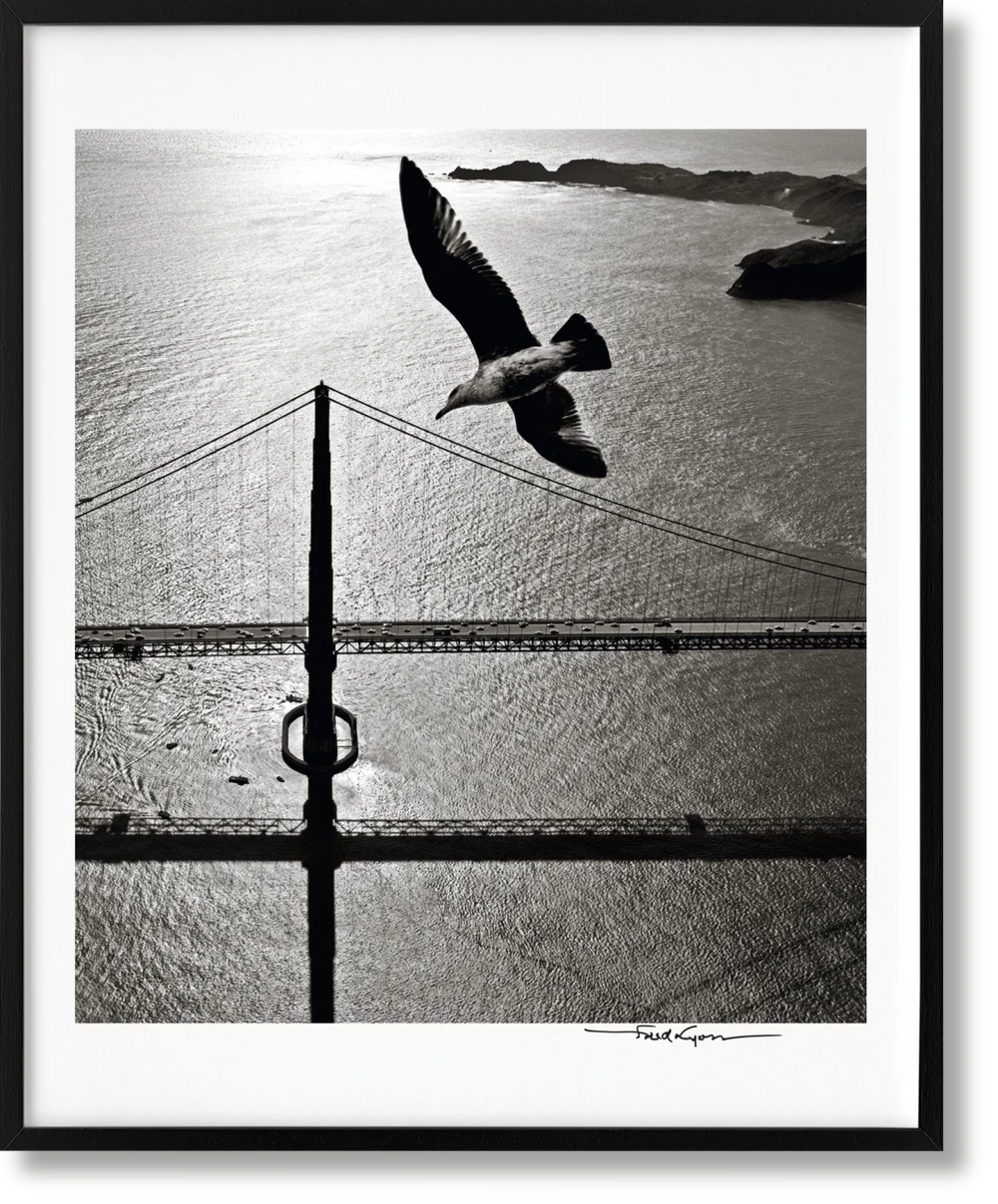 San Francisco. Portrait of a City, Art Edition No․ 76–150 'Seagull over Golden Gate Bridge, early 1950s' Print Books Taschen   