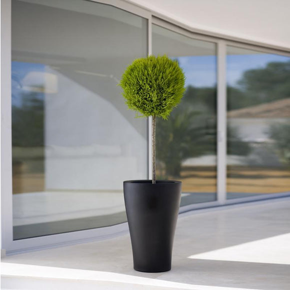 Curvada Planter Outdoor Vondom   