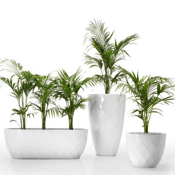 Vases Planter Outdoor Vondom   