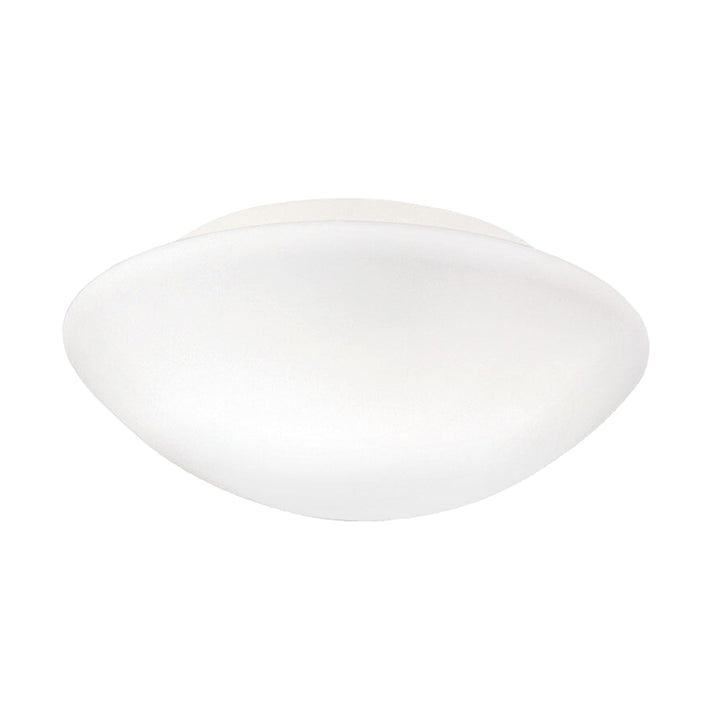 Janeiro Ceiling or Wall Light Lighting Fixtures NEMO 8.5 in diameter Standard Bulb