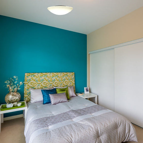 Janeiro Ceiling or Wall Light Lighting Fixtures NEMO