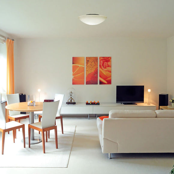 Janeiro Ceiling or Wall Light Lighting Fixtures NEMO