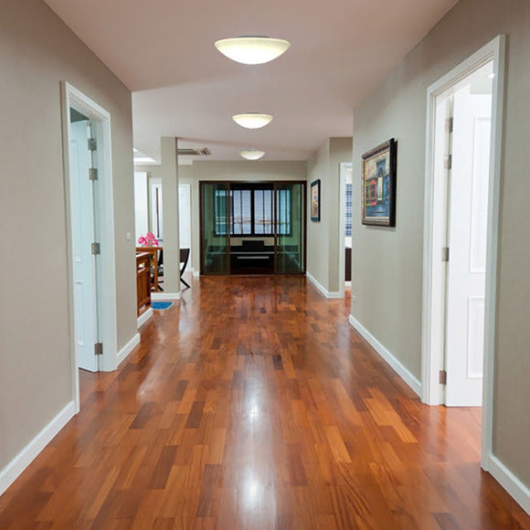 Janeiro Ceiling or Wall Light Lighting Fixtures NEMO