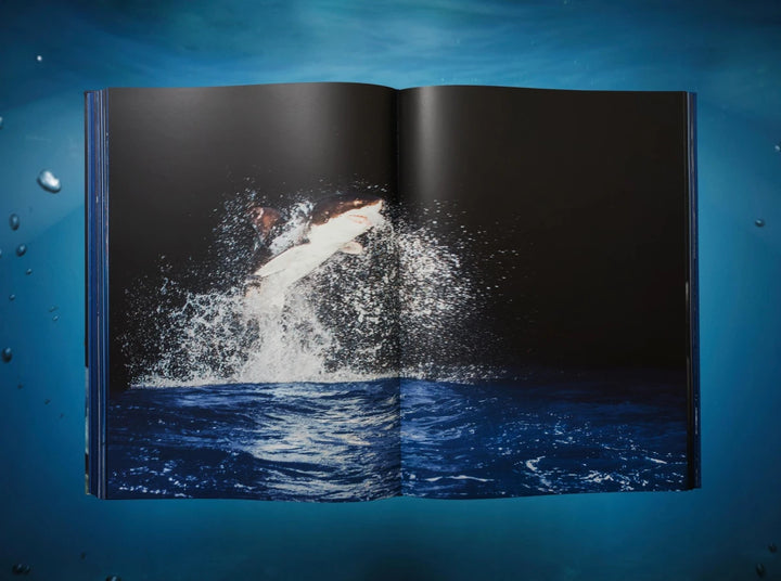 Michael Muller. Sharks Print Books Taschen   