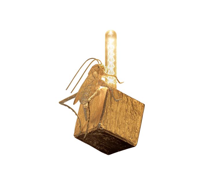 Cubic Filigree Cricket Small Wall Lamp  Boca Do Lobo   